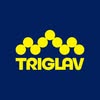 AVK Triglav Kranj